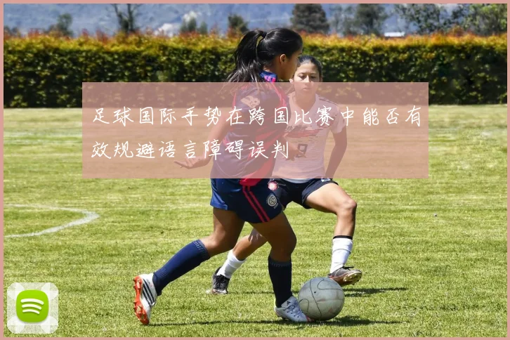 足球国际手势在跨国比赛中能否有效规避语言障碍误判