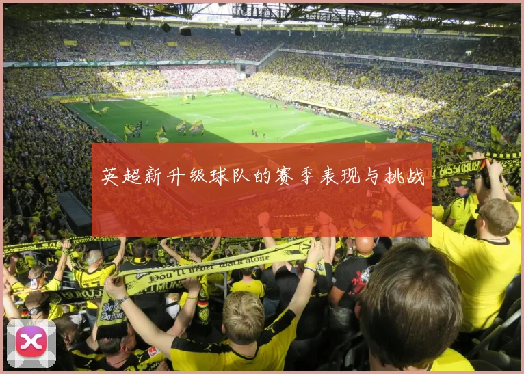 英超新升级球队的赛季表现与挑战